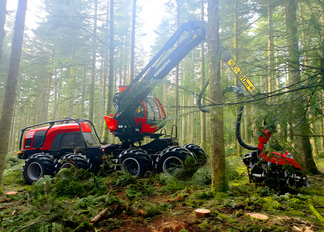 Véhicule abatteuse dans la forêt Véhicule abatteuse dans la forêt