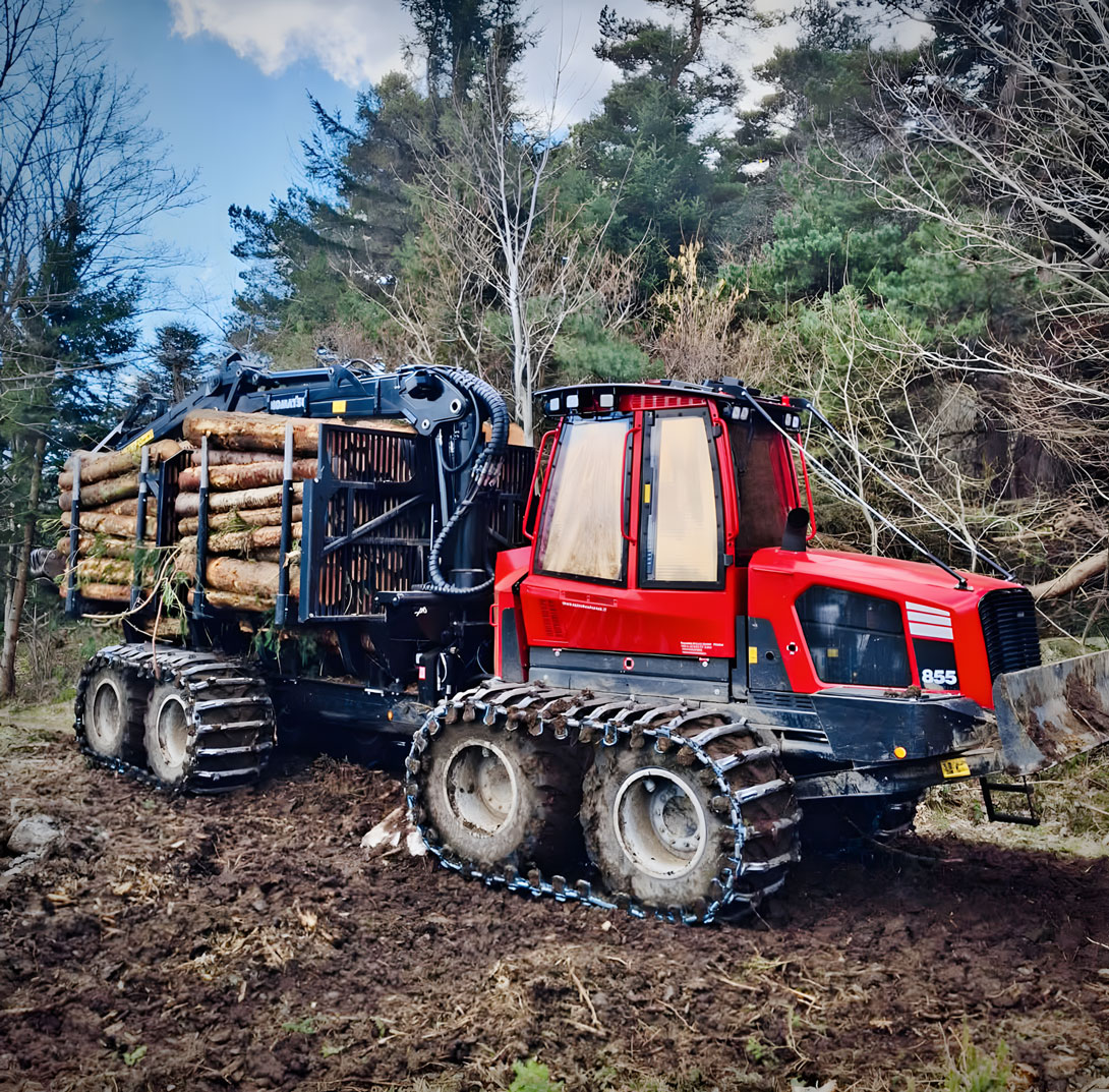 Engin transporteur de bois dans la forêt Engin transporteur de bois dans la forêt